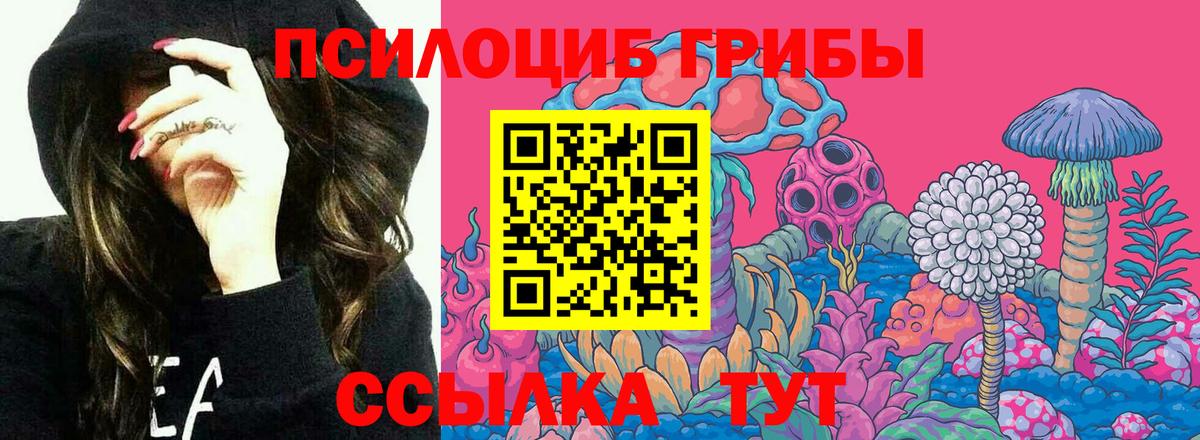 Ржев  Псилоцибиновые грибы мицелий  Псилоцибиновые грибы мицелий  Вход с VPN 
