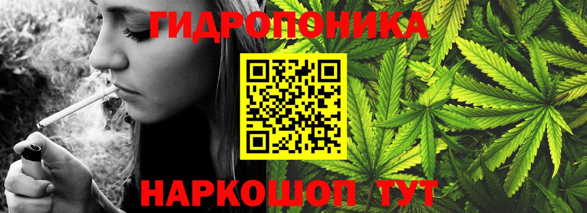 Канабис ГИДРОПОН  Бошки марихуана конопля  Вход с VPN  Конопля AK-47  Ржев  Шишки марихуана White Widow 